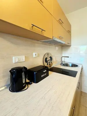 a kitchen with a toaster on a counter next to a sink at Apartman Elena 11 in Vrnjci
