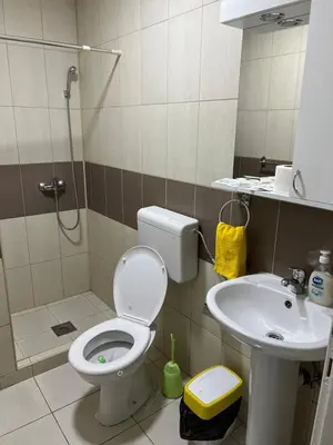 a bathroom with a shower and a toilet and a sink at Apartmani Plaža in Bor