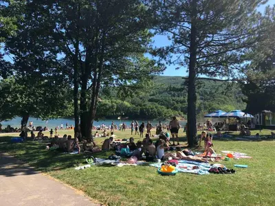 a group of people laying in the grass at a park at Apartmani Plaža in Bor
