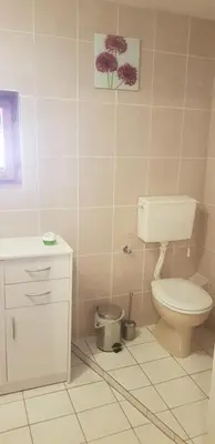 a bathroom with a toilet and a sink at Apartmani Filipi in Vrnjačka Banja