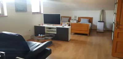 a living room with a couch and a tv and a chair at Apartmani Filipi in Vrnjačka Banja