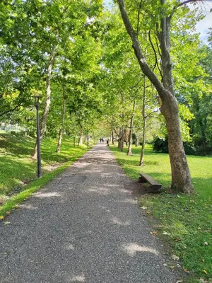 a path in a park with trees and a bench at Apartman Ljubičica in Vrnjačka Banja