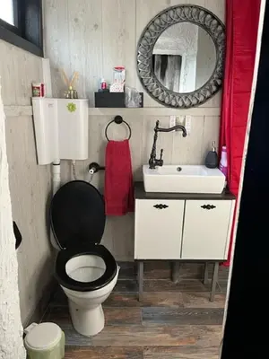 a bathroom with a toilet and a sink and a mirror at VILA MILICA & SPA ALEKSANDRA in Dimitrovgrad