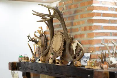 a shelf with antlers and a clock on a brick wall at Vila Dimitrijevic Lisine in Despotovac