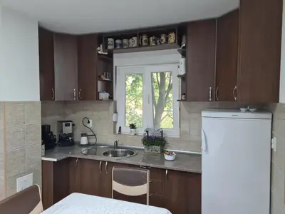 a kitchen with wooden cabinets and a sink and a window at Vila Dimitrijevic Lisine in Despotovac