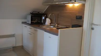 a small kitchen with a sink and a microwave at Ctrl Alt Del Apartment S76 in Kopaonik