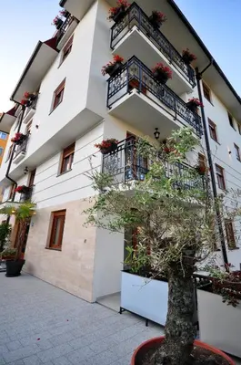 a building with balconies and a tree in front of it at Apartman Antic 1 in Vrnjačka Banja