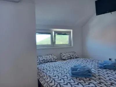 a bedroom with a bed with blue sheets and two windows at Smeštaj Voli - Borići studio-apartman, Sokobanja in Soko Banja