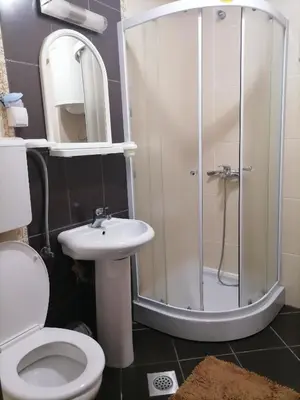 a bathroom with a shower and a toilet and a sink at Apartman Boki in Vrnjačka Banja