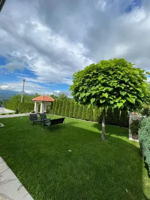 a park with a picnic table and a tree at Djokić 2 sa bazenom in Soko Banja