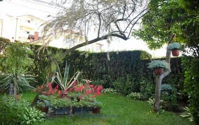 a garden with flowers and plants in a yard at Apartman Wisteria in Vranje