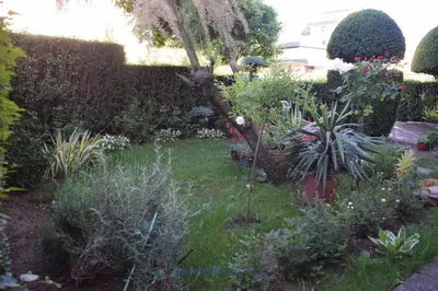 a garden with many different plants and flowers at Apartman Wisteria in Vranje