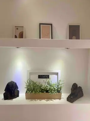 a shelf with a plant in a pot on it at City view & pool apartment in Niš