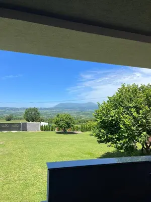 a view of a green field with a tree at Djokić 3 sa bazenom in Soko Banja