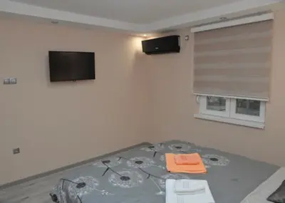 a room with a bed with a flat screen tv at Milivojevic in Soko Banja