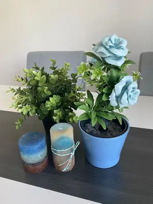 a table with a plant and a candle and a potted plant at Apartman Jorgos in Soko Banja