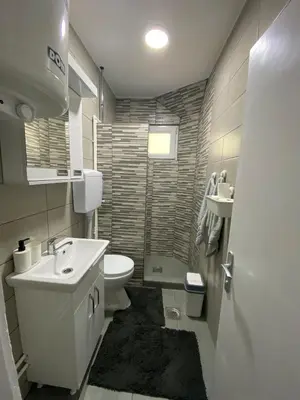 a small bathroom with a sink and a toilet at Apartman Jorgos in Soko Banja