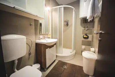 a bathroom with a shower and a toilet and a sink at Apartment Ilunion I in Vrnjačka Banja