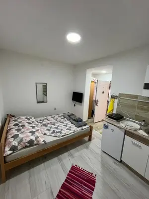 a bedroom with a bed and a sink at Dedovina in Soko Banja