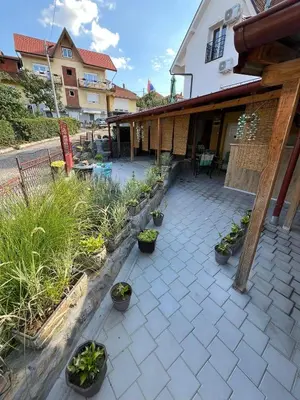 a patio with potted plants on the side of a building at Dedovina in Soko Banja
