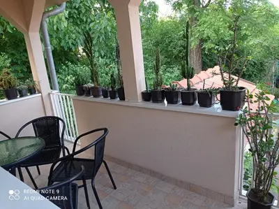 a patio with chairs and potted plants on a ledge at Apartman Aleks in Soko Banja