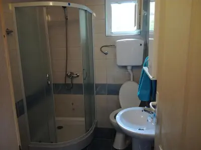a bathroom with a shower and a toilet and a sink at Apartman Aleks in Soko Banja