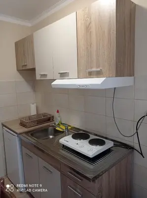 a kitchen with a stove and a sink at Apartman Aleks in Soko Banja