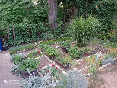a garden with many different plants and flowers at Apartman Aleks in Soko Banja
