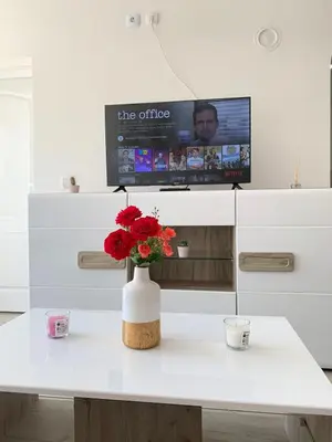 a vase with flowers on a table with a tv at Apartmani Bambi Sokobanja in Soko Banja