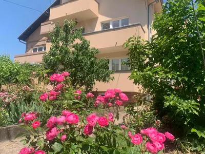 a bunch of pink roses in front of a building at Apartmani Bambi Sokobanja in Soko Banja