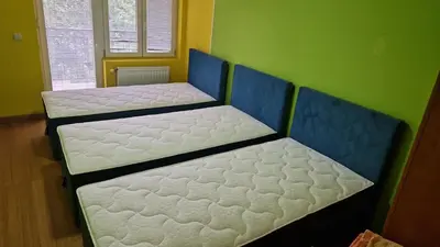 two beds are in a room with a green wall at Greenspace in Niš