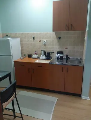 a small kitchen with a sink and a refrigerator at Apartman Ana in Leskovac