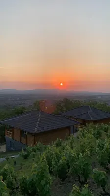 a house in a vineyard with the sunset in the background at Boja Zalaska - kameni apartman in Jagodina