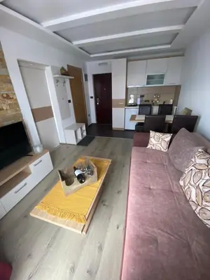 Gallery image of SUNSETMilmariH7 in Kopaonik