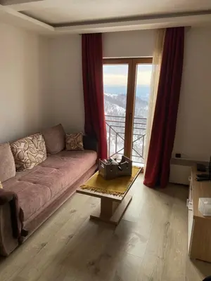 Gallery image of SUNSETMilmariH7 in Kopaonik