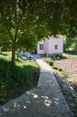 a path in front of a house with a tree at Šumska tajna - Radenkovac in Lipovac