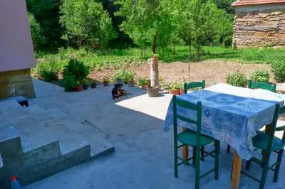 a table and chairs with a dog sitting on a patio at Šumska tajna - Radenkovac in Lipovac