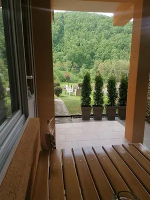 a view from the door of a porch with potted plants at Studio sa francuskim i pomoćnim ležajem - Romansa in Ribarska Banja