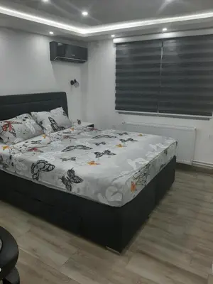 a bedroom with a bed in a room with a window at Adrijana 2 Apartmani in Vrnjačka Banja