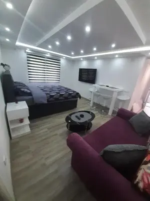 a bedroom with a bed and a couch and a table at Adrijana 2 Apartmani in Vrnjačka Banja