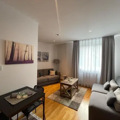 a living room with a couch and a table at Falling Star Apartman Brzece in Brzeće