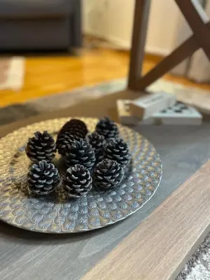 a plate of pine cones on a table at Falling Star Apartman Brzece in Brzeće
