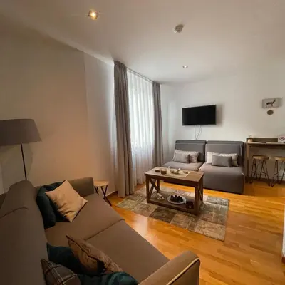 a living room with a couch and a table at Falling Star Apartman Brzece in Brzeće