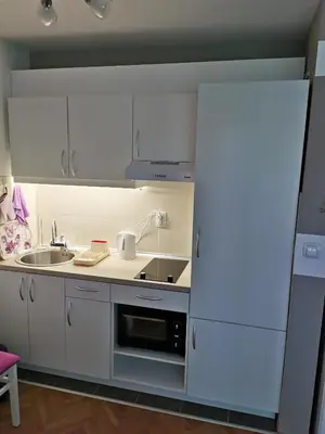 a kitchen with white cabinets and a sink and a refrigerator at My bouquet in Vrnjačka Banja