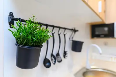 a kitchen with a plant in a pot on a wall at Sky Lux in Soko Banja