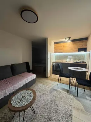 a living room with a couch and a table at Arni apartments in Donja Vrežina