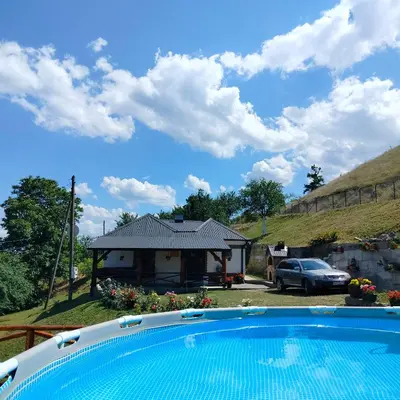 a house with a swimming pool in front of a house at Vujanac vikend kuća in Raška
