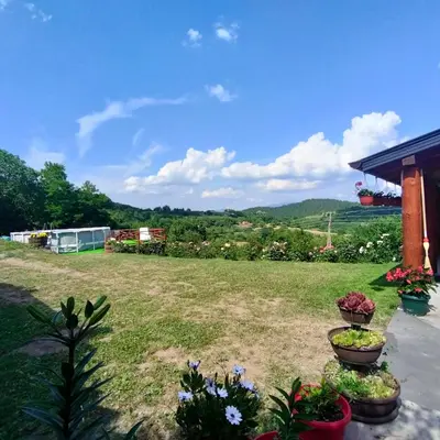 a yard with some plants and flowers in pots at Vujanac vikend kuća in Raška