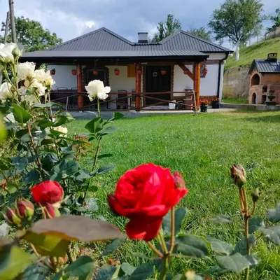 a red rose in the grass in front of a house at Vujanac vikend kuća in Raška