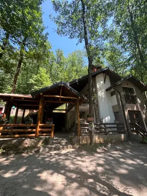 a cabin in the woods with a fence around it at Vila KTM Lisine in Despotovac